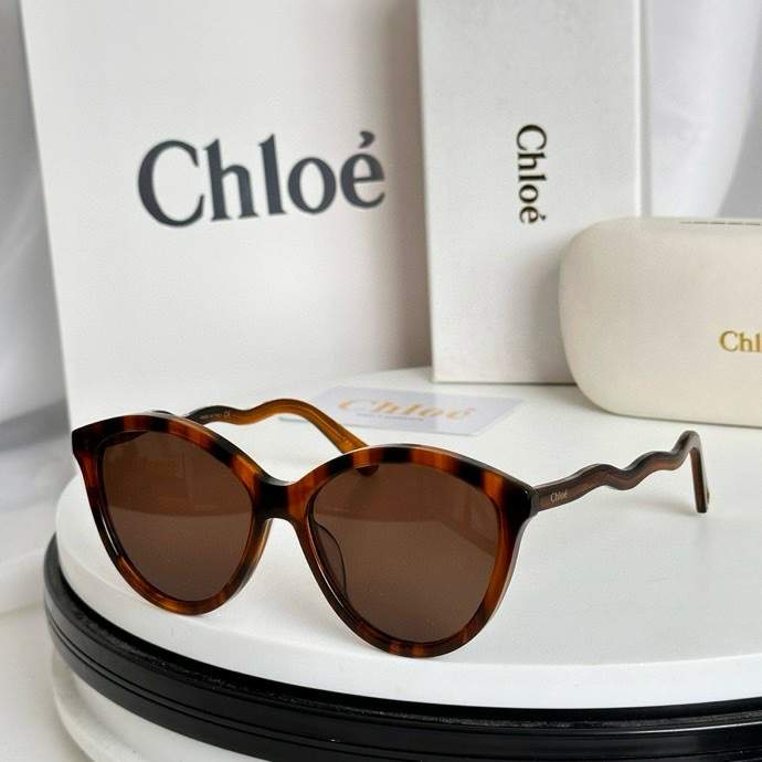 Picture of Chloe Sunglasses _SKUfw60728246fw